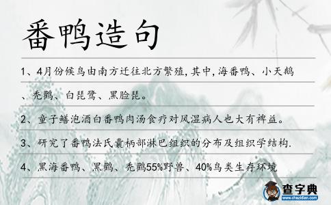 番鴨造句