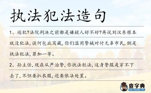 執(zhí)法犯法造句