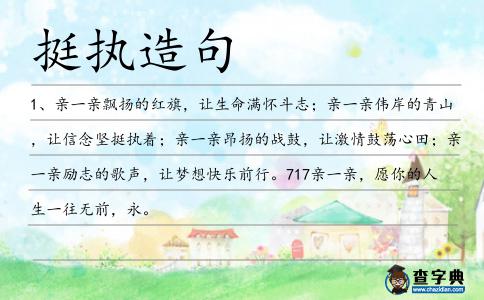 挺執造句