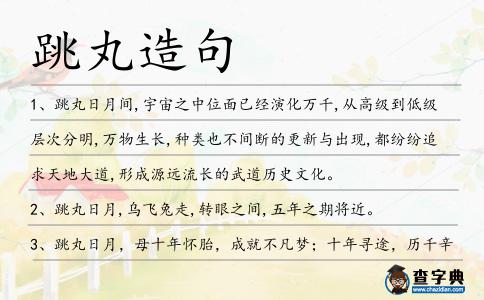 跳丸造句