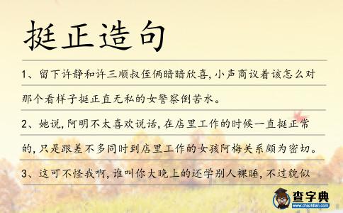挺正造句