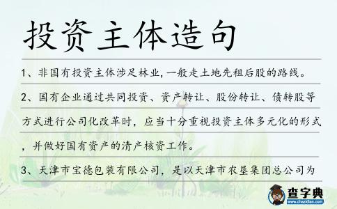 投資主體造句