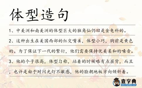 體型造句