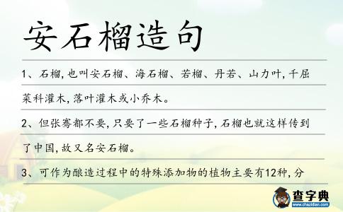 安石榴造句