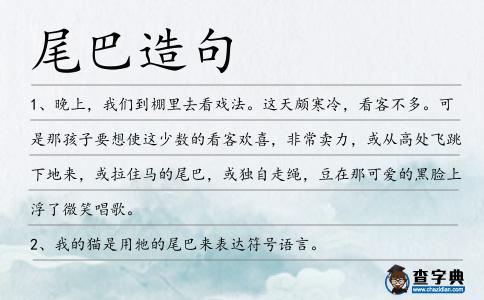 尾巴造句
