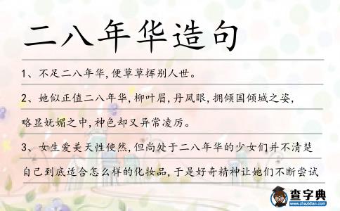 二八年華造句
