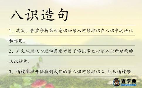 八識造句