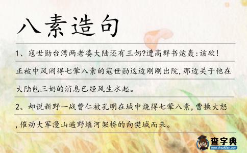 八素造句
