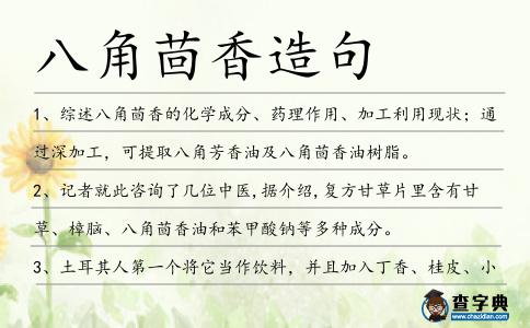 八角茴香造句