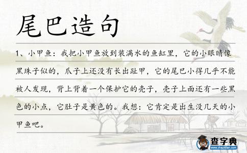 尾巴造句