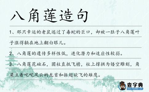 八角蓮造句