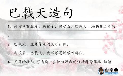 巴戟天造句