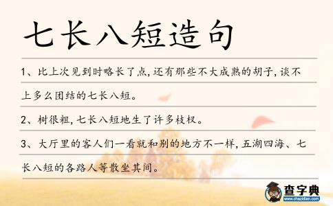 七長(zhǎng)八短造句