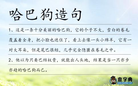 哈巴狗造句