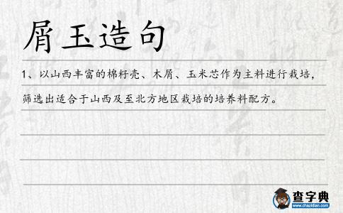 屑玉造句