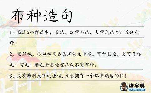 布種造句