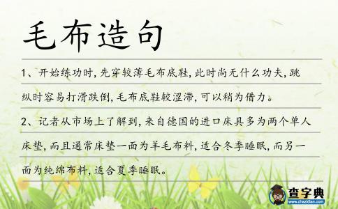 毛布造句