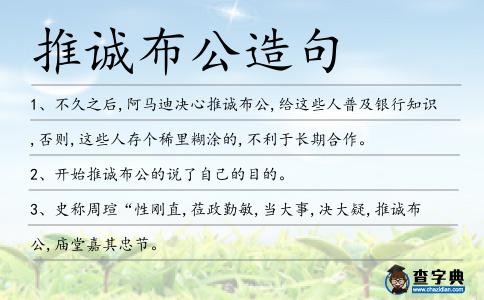 推誠布公造句
