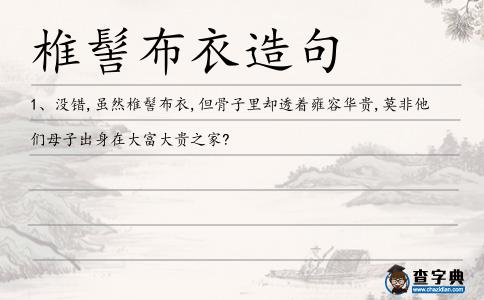 椎髻布衣造句