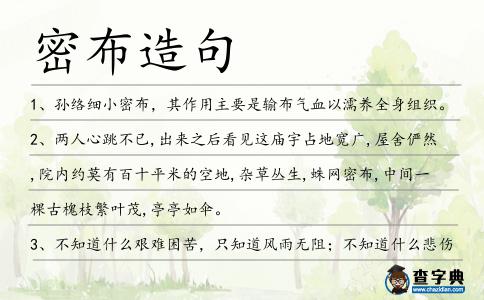密布造句