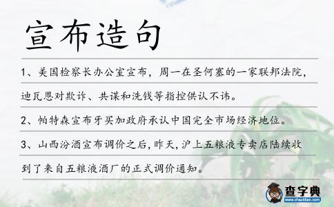 宣布造句