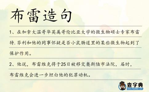 布雷造句
