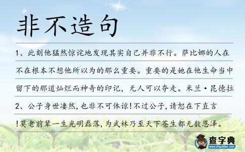 非不造句