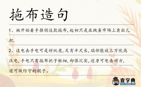 拖布造句