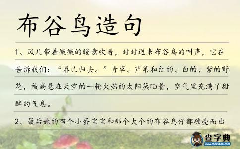 布谷鳥造句