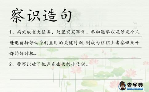 察識造句