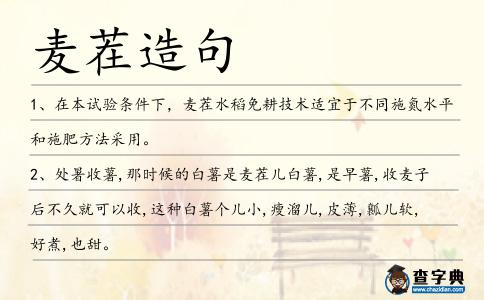 麥茬造句
