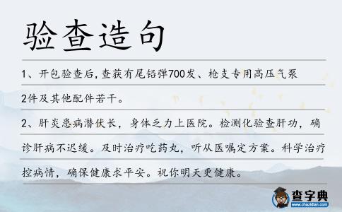 驗(yàn)查造句