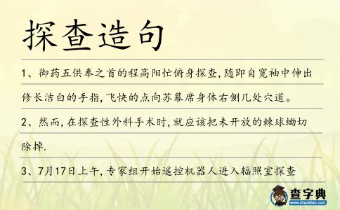 探查造句
