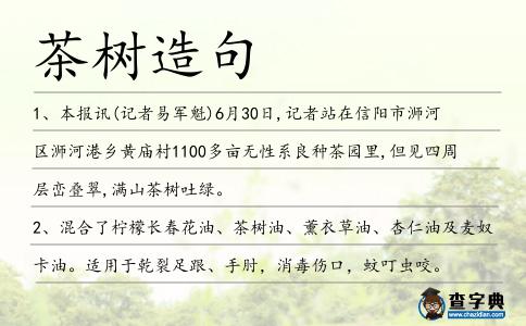 茶樹造句