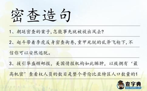 密查造句
