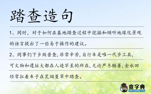 踏查造句