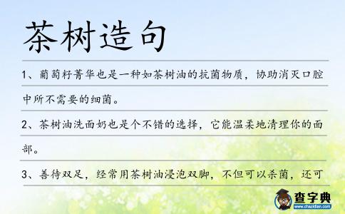 茶樹造句