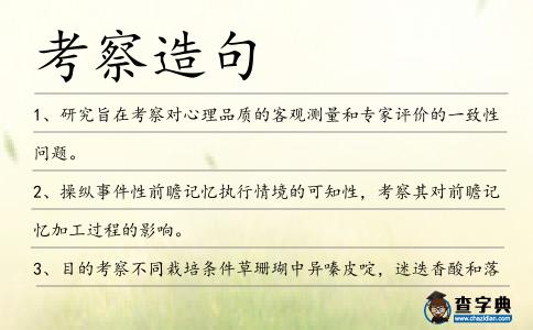 考察造句
