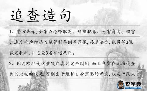 追查造句