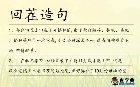 回茬造句