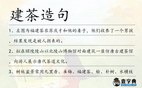 建茶造句