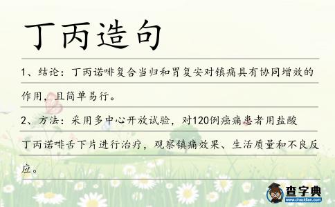 丁丙造句