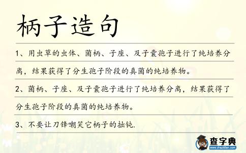 柄子造句