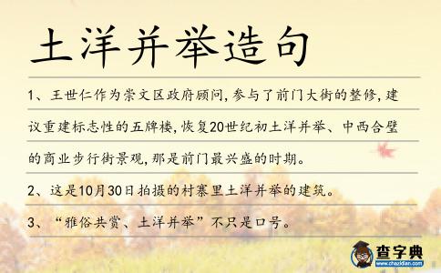 土洋并舉造句