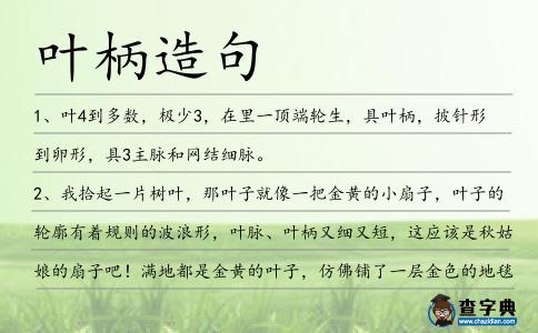 葉柄造句