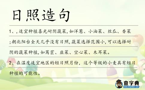 日照造句
