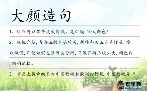 大顏造句