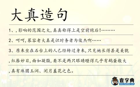 大真造句