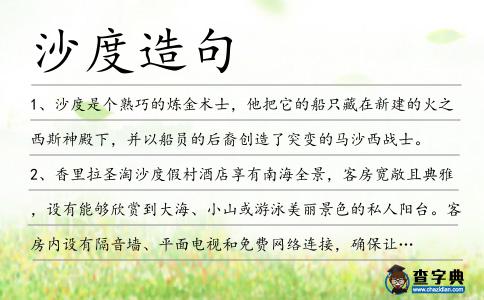 沙度造句