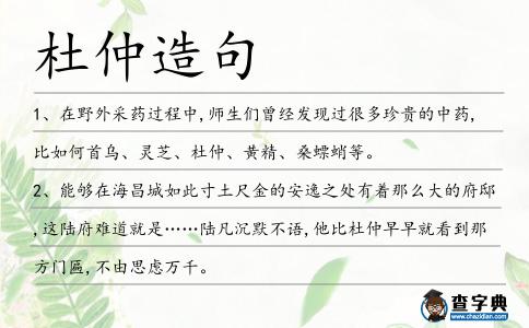 杜仲造句
